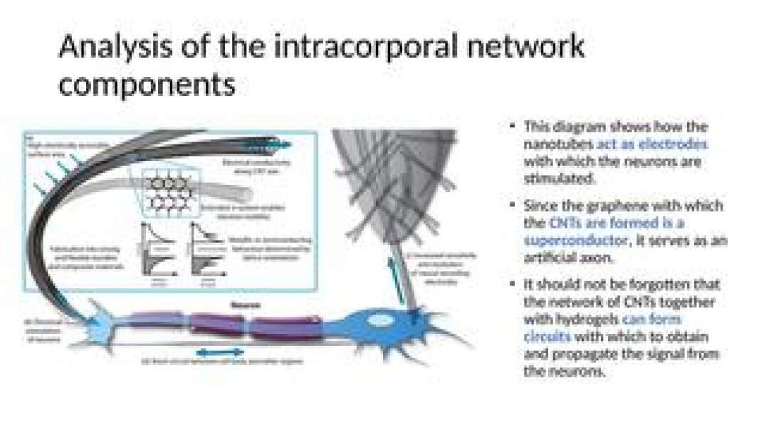 INTRACORPORAL NETWORK (CREATED BY VACCINE ARTIFACTS AND GRAPHENE) BRIEF SUMMARY