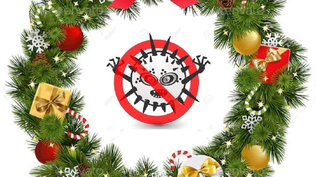 Merry Christmas From TheBigVirusHoax.com - There Are No Viruses