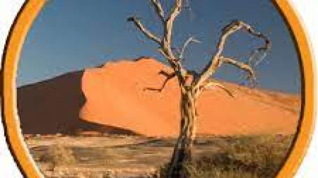 3 Things That A Voice In the Desert Is NOT!