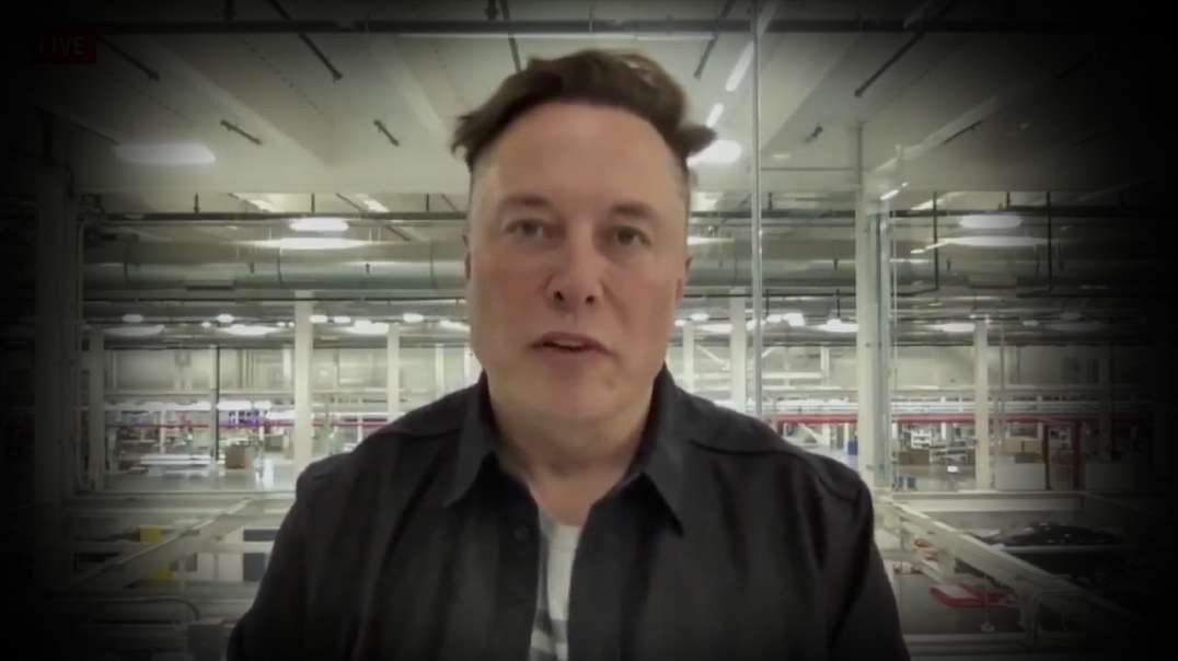 HIGHLIGHTS - Elon Musk: Government Has A Monopoly On Violence