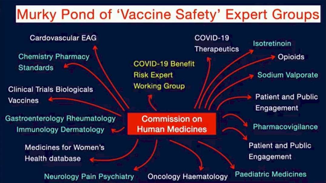 The Commission On Human Medicines.mp4