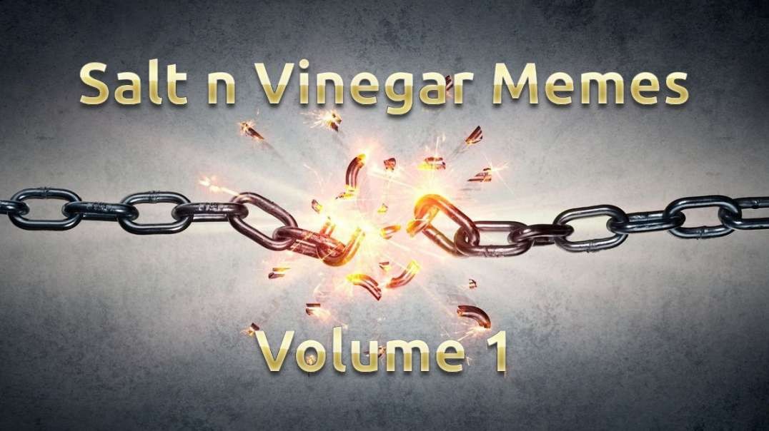 Salt n Vinegar Memes Volume 1.mp4