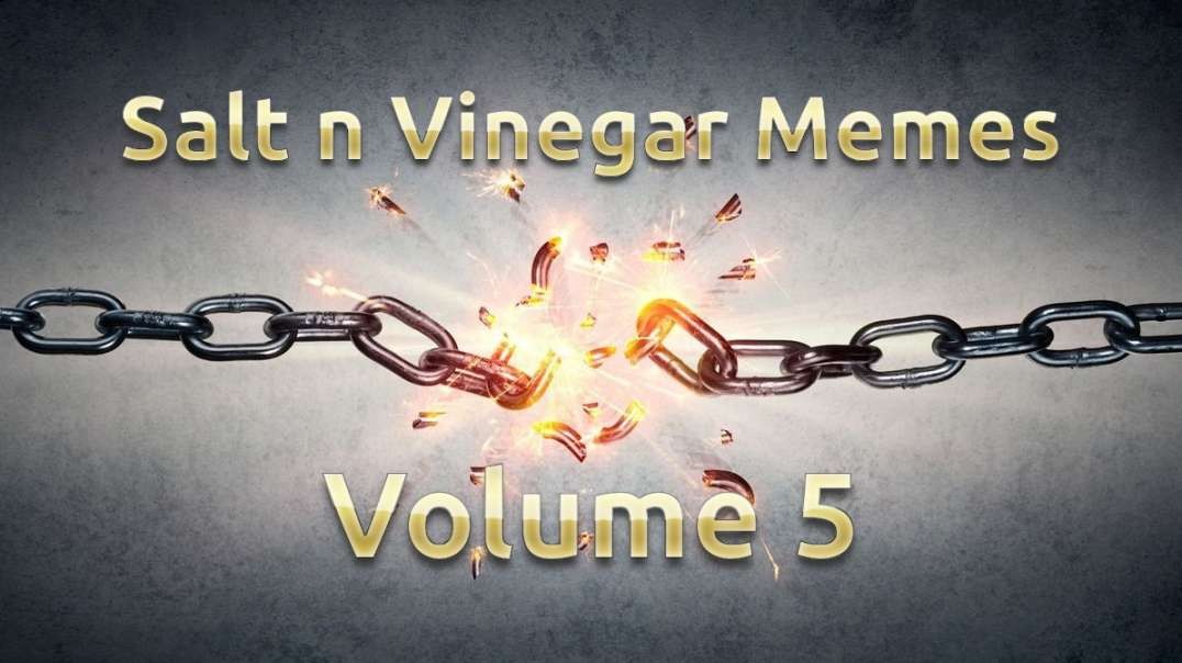 Salt n Vinegar Memes Volume 5.mp4
