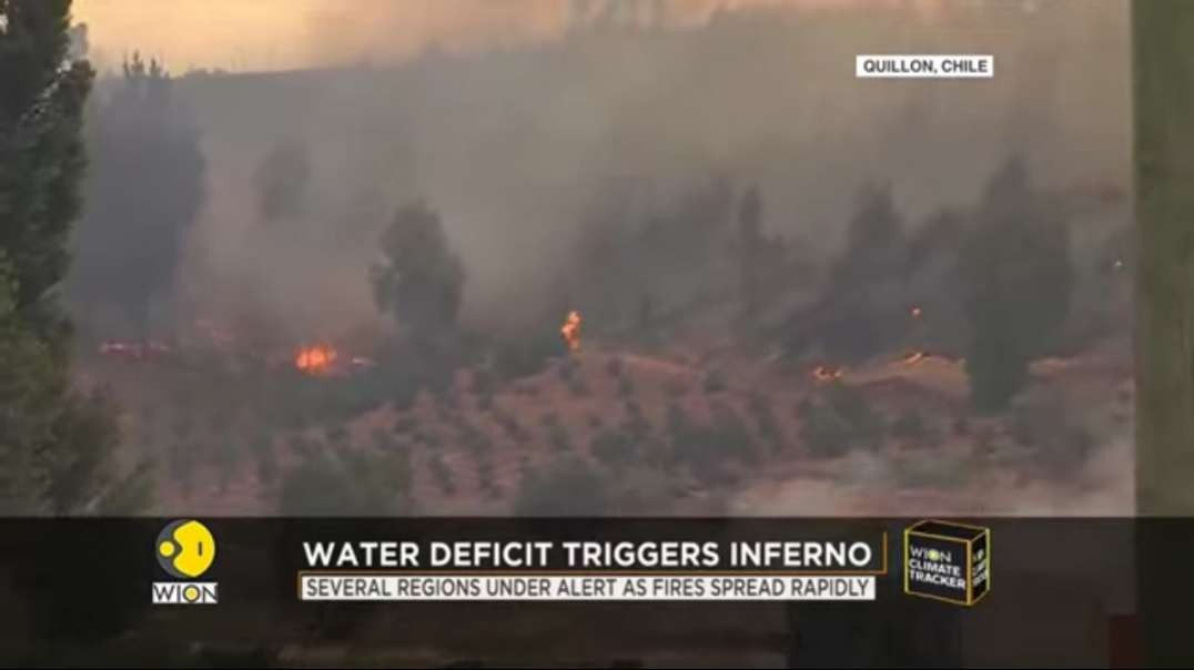 Wildfires ravage Chile, government declares agriculture emergency _ WION Climate.mp4