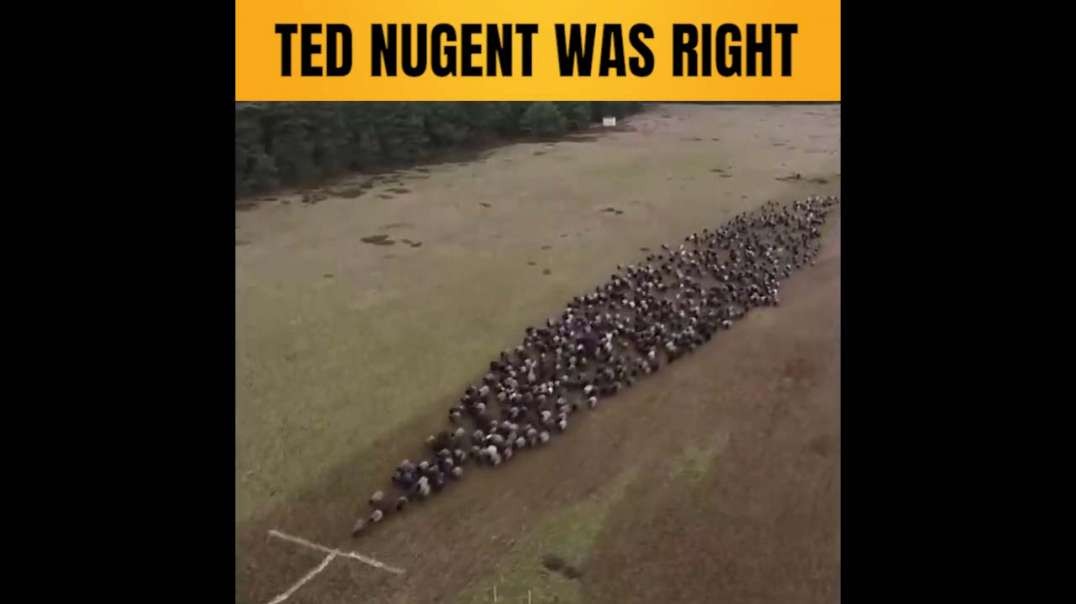 Ted Nugent was right