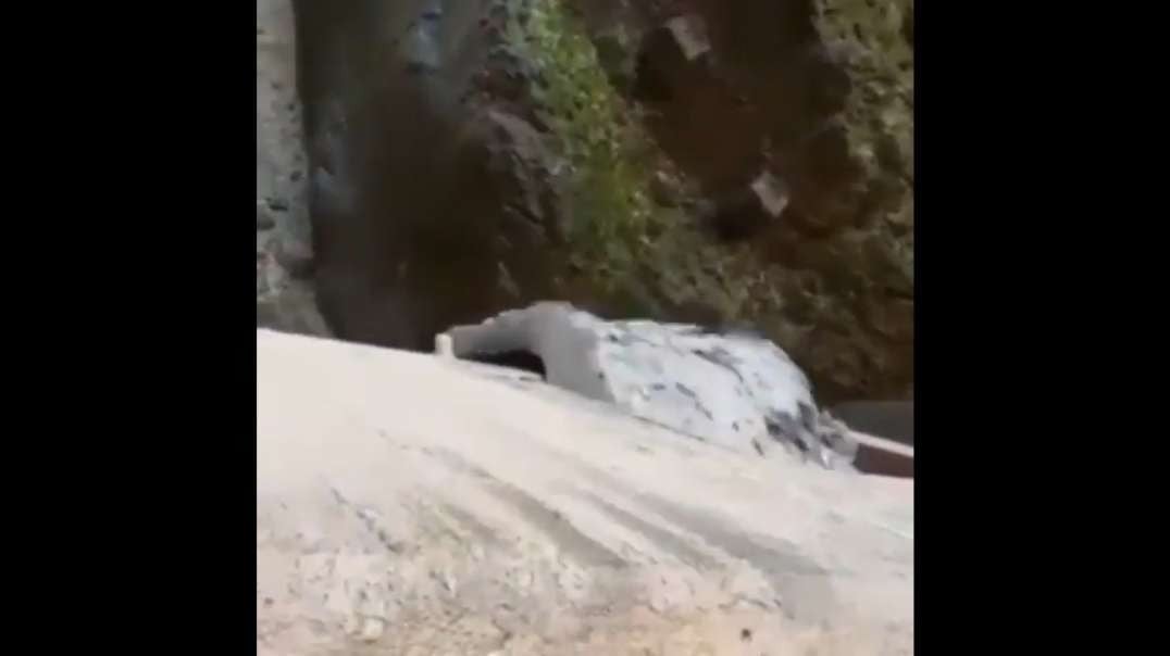 Dump one of the dams in Bandar Abbas in # Iran 🇮🇷 the impact of the effect of the recent