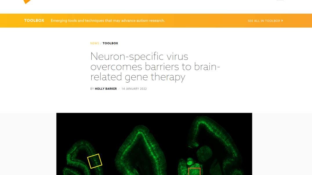 Neuron Targeting Viruses? What Could Go Wrong??