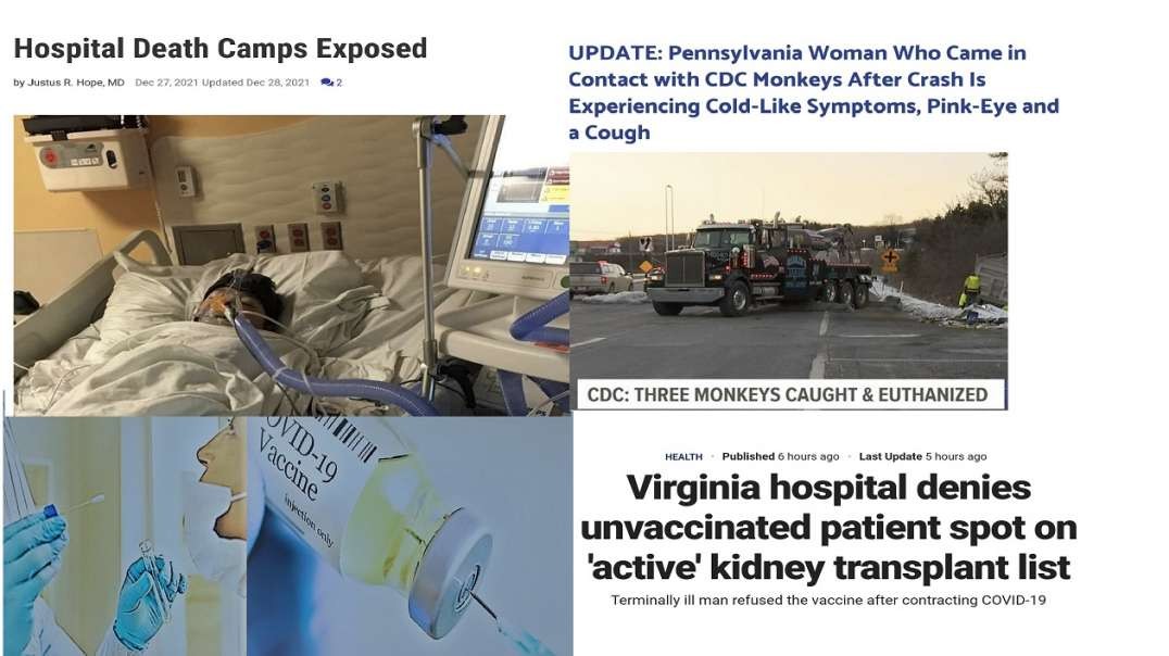 News Updates Hospital Death Camps & Other News