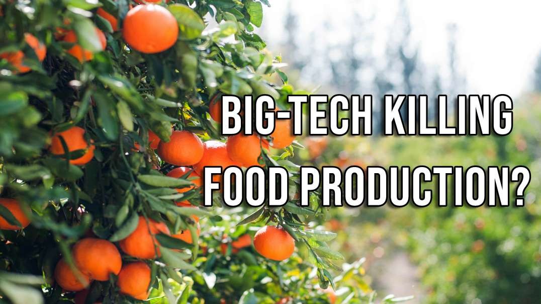 Will BigTech Kill Food Production?
