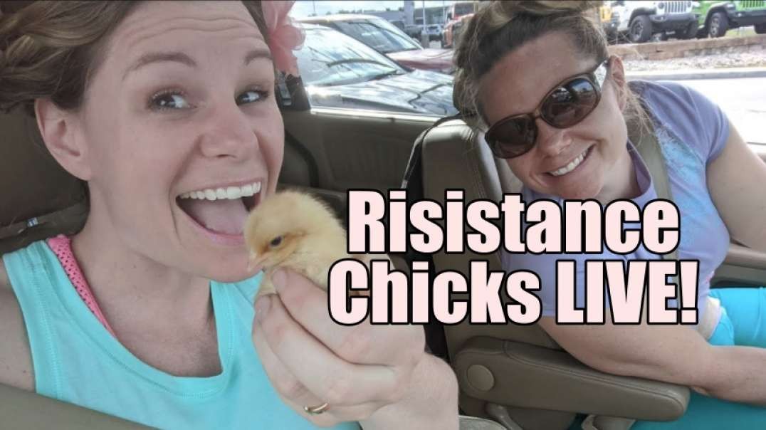 Resistance Chicks LIVE! Prince Andrew Outed. B2T Show Jan 18, 2022.mp4