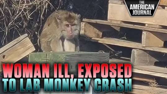 Witness To CDC Lab Monkey Truck Crash Has Developed Mysterious Symptoms