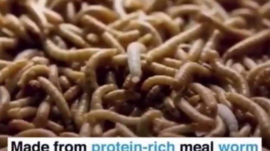 Eat yummy insects and delicious worms and maggots