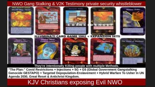 NWO Gang Stalking & V2K Testimony private security whistleblower
