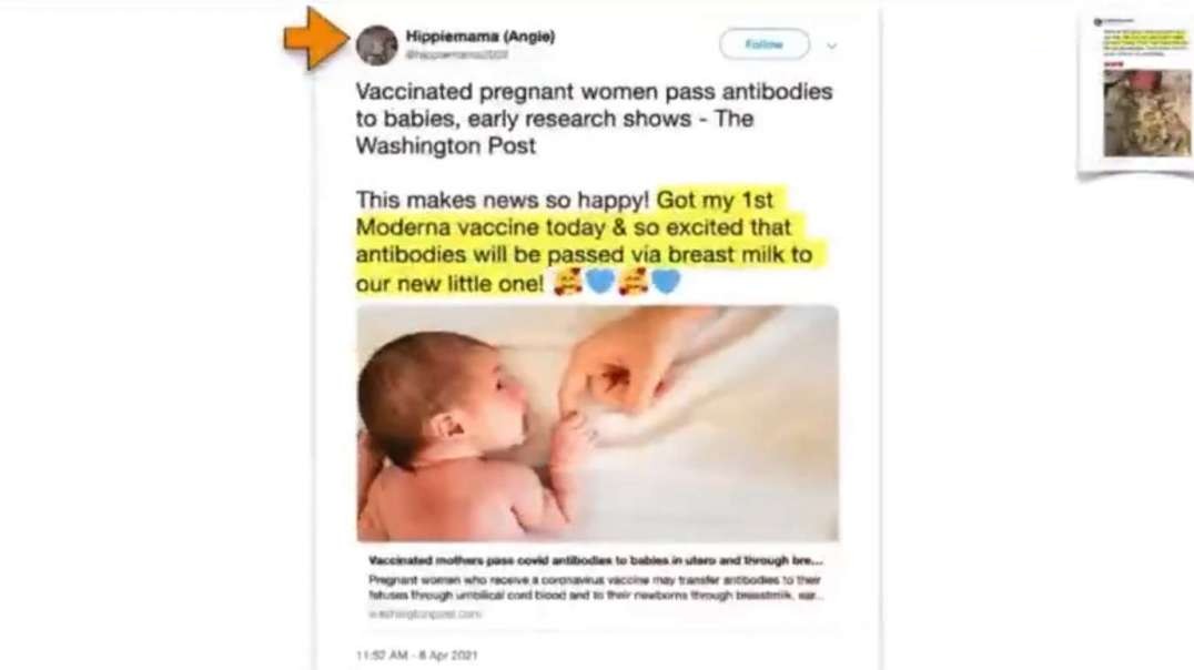 THE ULTIMATE DO NOT TAKE THE VACCINE VIDEO