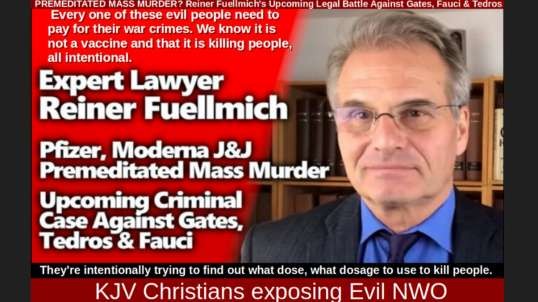 PREMEDITATED MASS MURDER? Reiner Fuellmich's Upcoming Legal Battle Against Gates, Fauci & Tedros