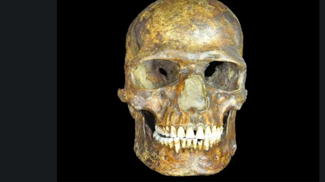 Origins of Human Subspecies DNA Differ Most Likely From Ancient A.i. Used by Homo Capensis Before the Ice Age