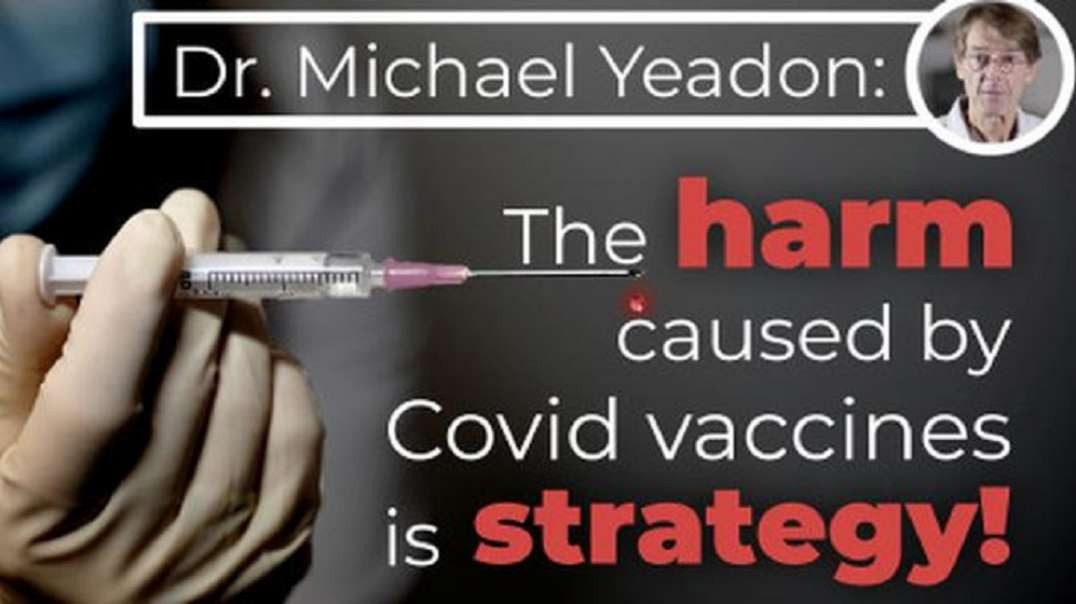 Dr. Michael Yeadon - The harm caused by Covid vaccines is strategy!