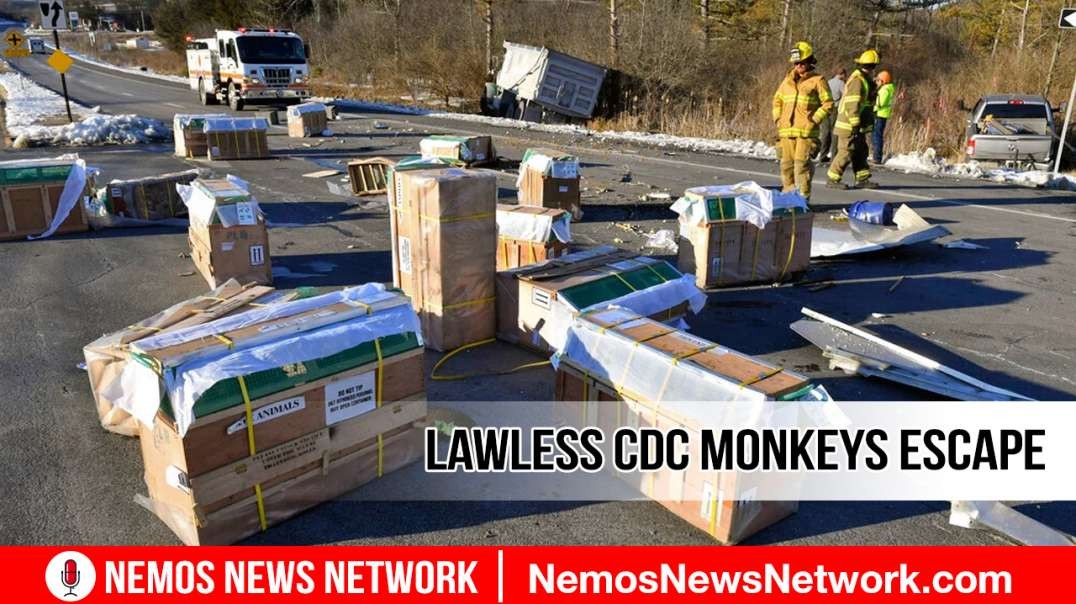 Silent War Ep. 6158: Schools Groom, Poison, & Abuse Children Daily, Across USA. Lawless CDC Monkeys