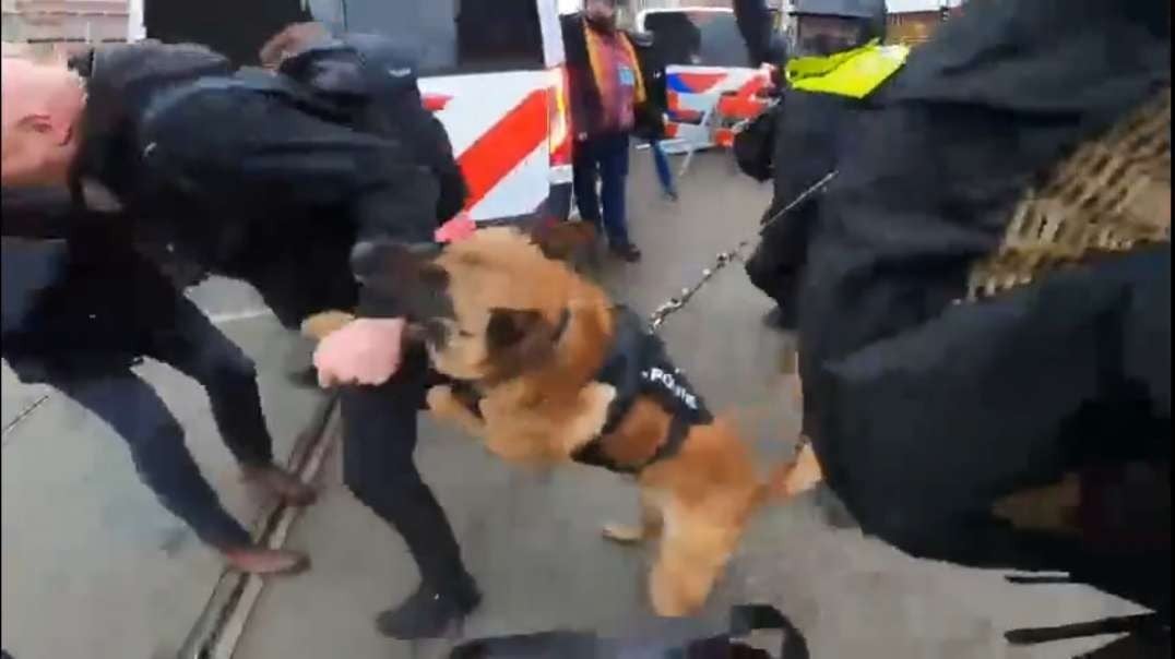 Amsterdam: Leftist Mayor Femke Halsema Unleashes Attack Dogs On Anti-Lockdown Protesters