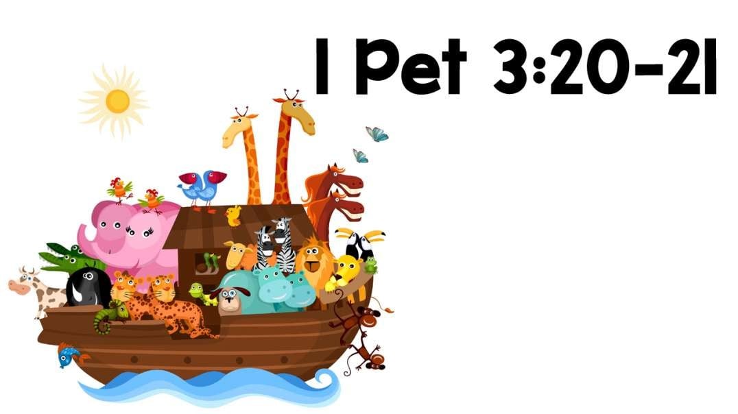 Noah's Ark Symbolizes True Baptism