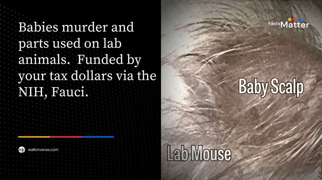 Government Funded Murder via Fauci's NIH and Human Experimentation