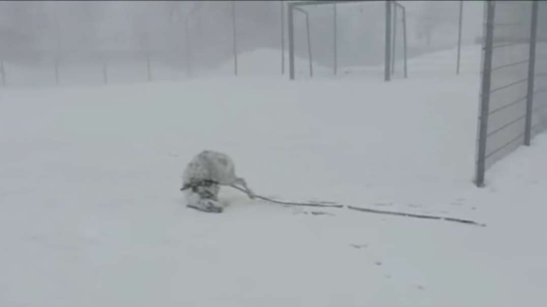 That's what's happening in the Arctic! A strong blizzard hits Norway and Sweden at 120k.mp4