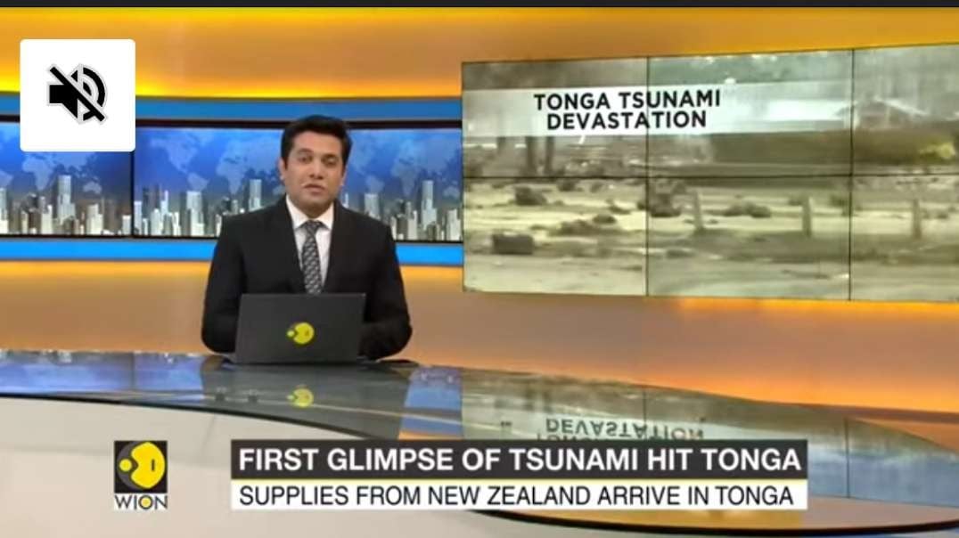 Fields washed away, trees uprooted; first batch of aid arrives in Tonga _ Climat.mp4