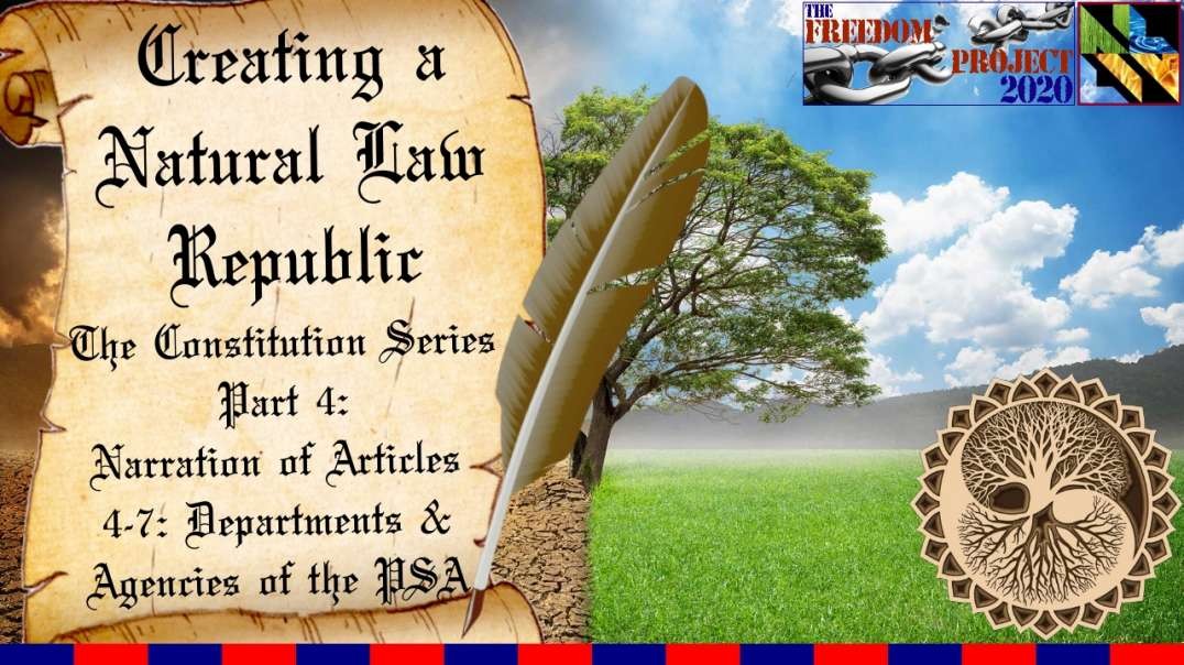 NLR Constitution Series Part 4: Narration & Explanation of Articles 4-7