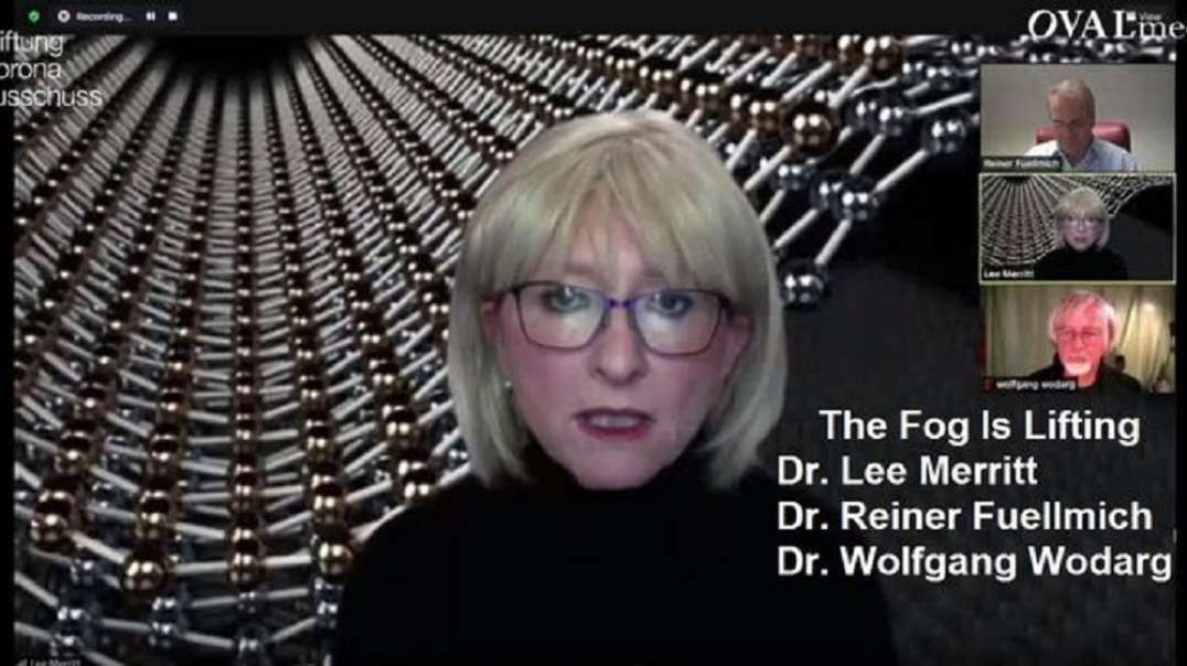 The Fog Is Lifting: Dr. Lee Merritt, Dr. Reiner Fuellmich and Dr. Wolfgang Wodarg