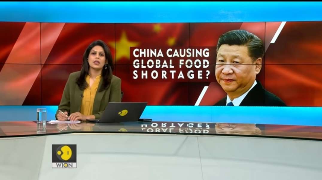 China is piling up unprecedented quantities of food, inflating prices and dropping more countries into famine_ 69% of world’s maize reserves, 60% of its rice and 51% of its wheat.mp4