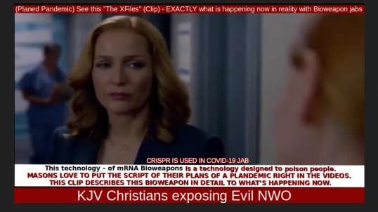 (Planed Pandemic) See this "The XFiles" (Clip) - EXACTLY what is happening now in reality with Bioweapon jabs
