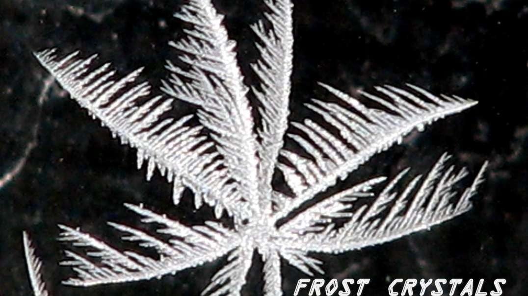 Frost Crystals (Nature's Artistic Wonders)