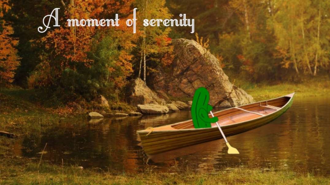 A moment of serenity