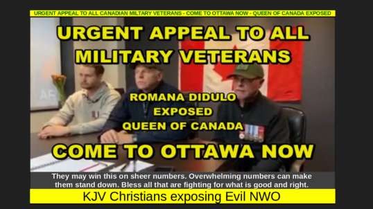 URGENT APPEAL TO ALL CANADIAN MILTARY VETERANS - COME TO OTTAWA NOW - QUEEN OF CANADA EXPOSED