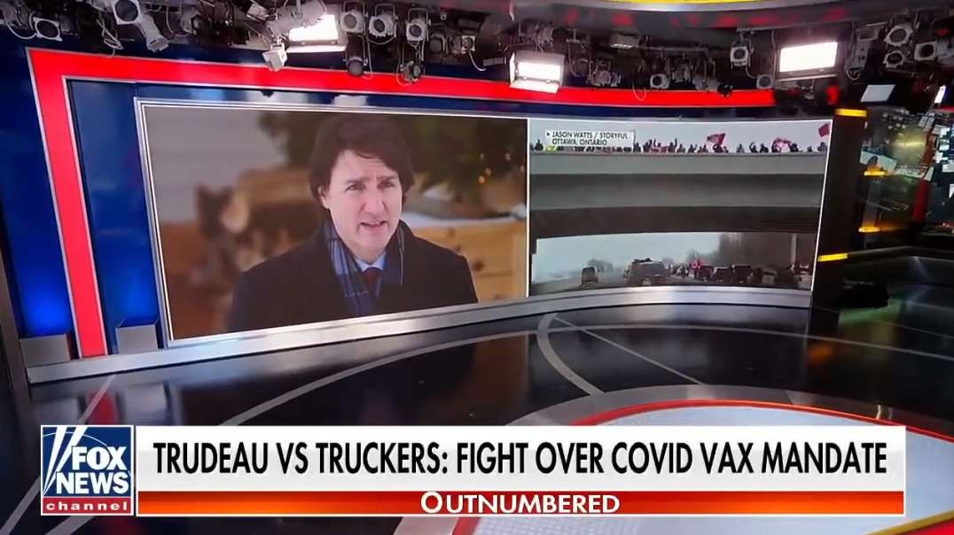 Kayleigh McEnany blasts liberals- disdain for Canadian truckers.mp4
