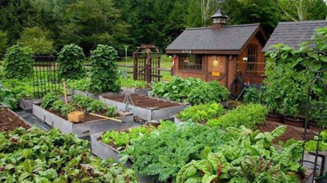 Video 46- A great Van song and my Permaculture Farm Plan 20220203