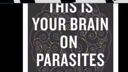 PT2 Vril Parasites, Shadow People, Nano-Possession (Jan does a good job exposing the Luciferian mind control, but , but)