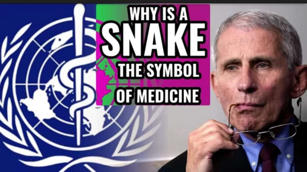 Why is a Serpent the Symbol of Medicine.mp4
