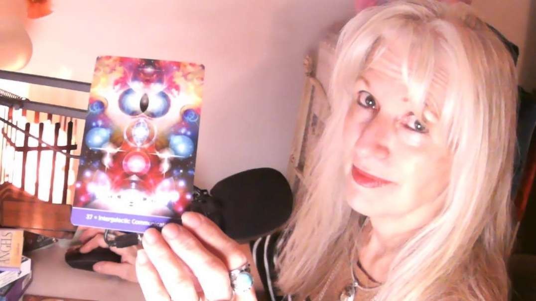 Daily Random Channeled Message  - Your Portal is Here