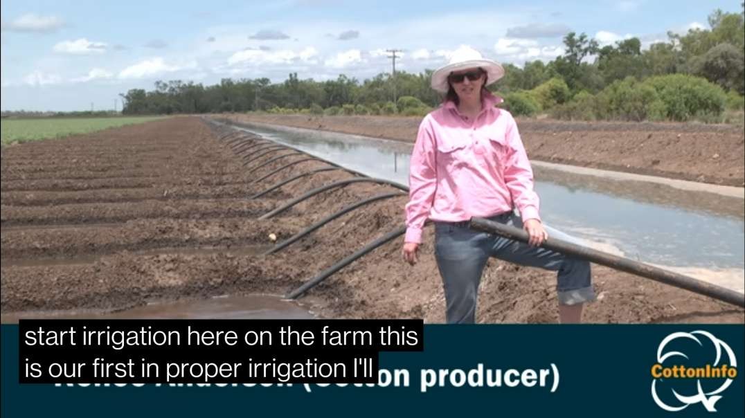 Irrigating with siphons ( 480 X 854 ).mp4