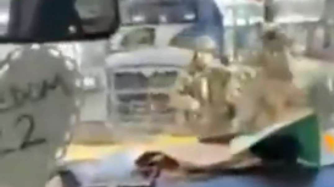 Canadian Pigs Or UN Troops Smash Windows To Apprehend Protestors