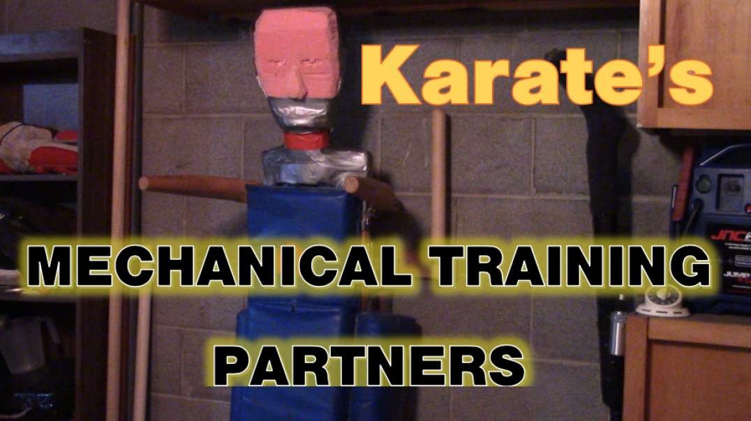 KARATE'S MECHANICAL TRAINING PARTNERS.mp4
