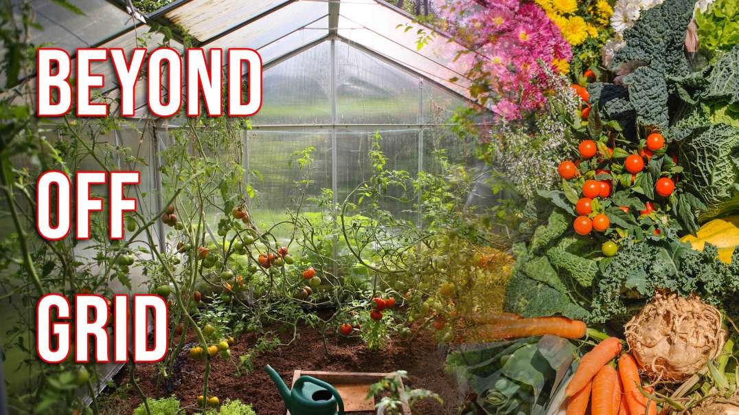 INTERVIEW: "Beyond Off Grid" — Power of Community for Survival & Prepping