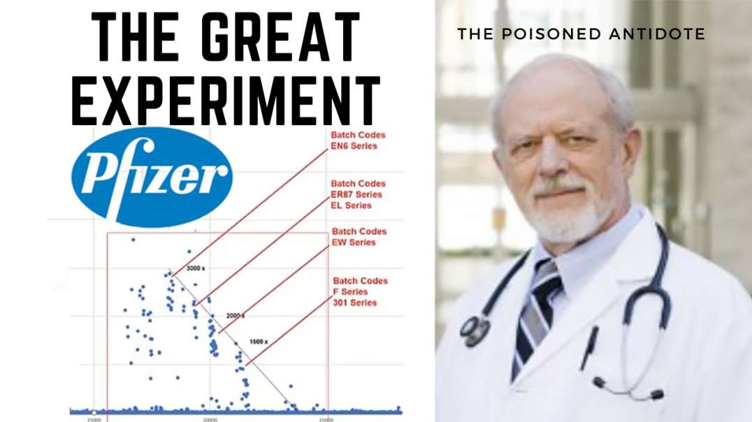 THE GREAT VACCINE EXPERIMENT - the batches
