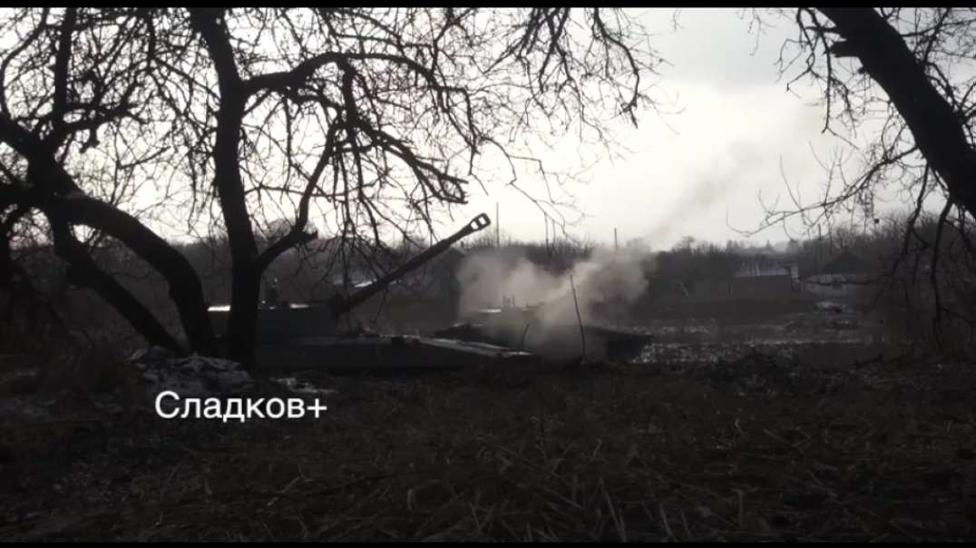 Liberating Donbass