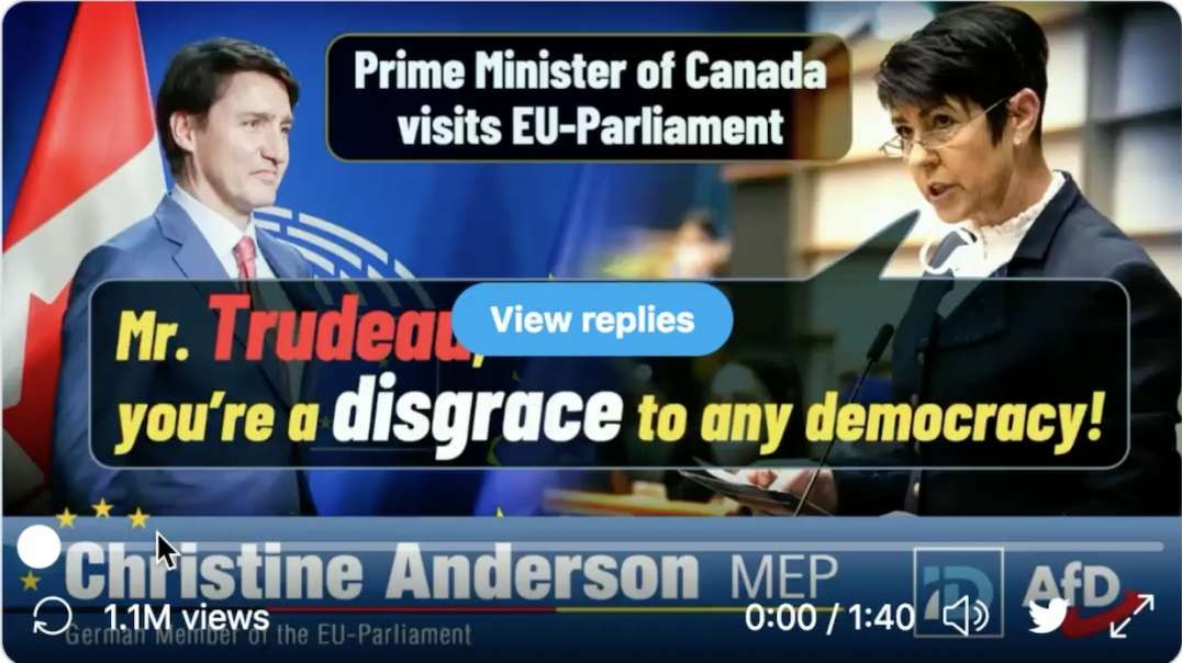 Christine Anderson MEP At The European Parliament, Trudeau, You Are a Disgrace!
