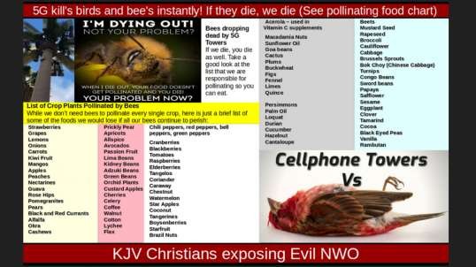 5G kill's birds and bee's instantly! If they die, we die (See pollinating food chart)