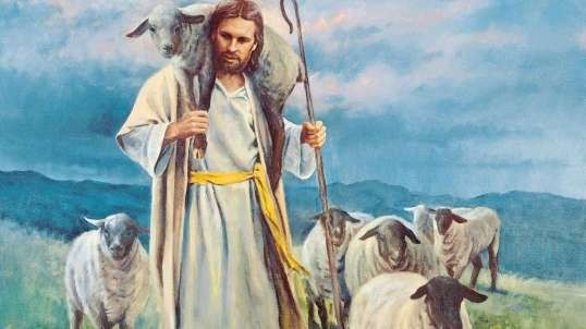 Will you be a good shepherd?