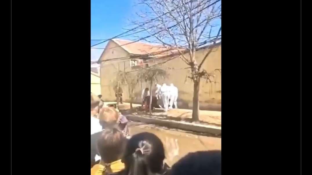 If you don’t have an updated COVID pass, this is what happens to you in China.(432P).mp4