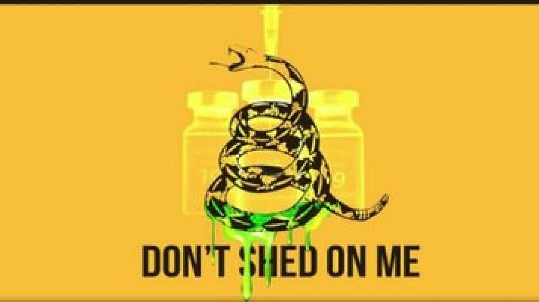 Amandha D. Vollmer - Watch the Snakes Discernment Time Again Truthers